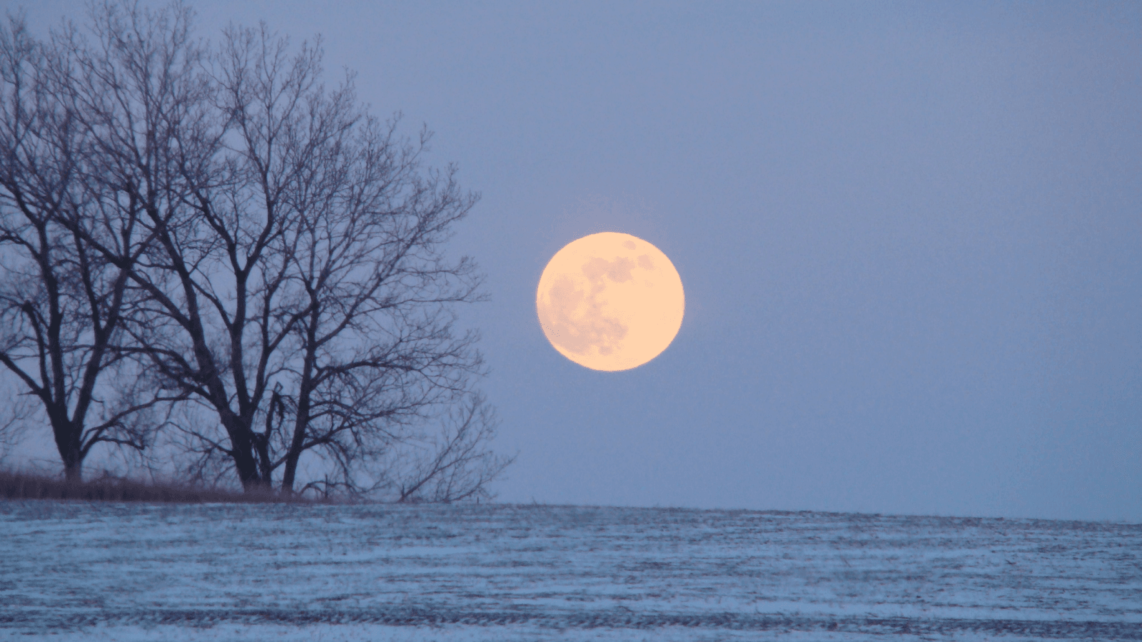 January 'Wolf Supermoon': How to see the full moon rise with Jupiter this weekend - Live Science