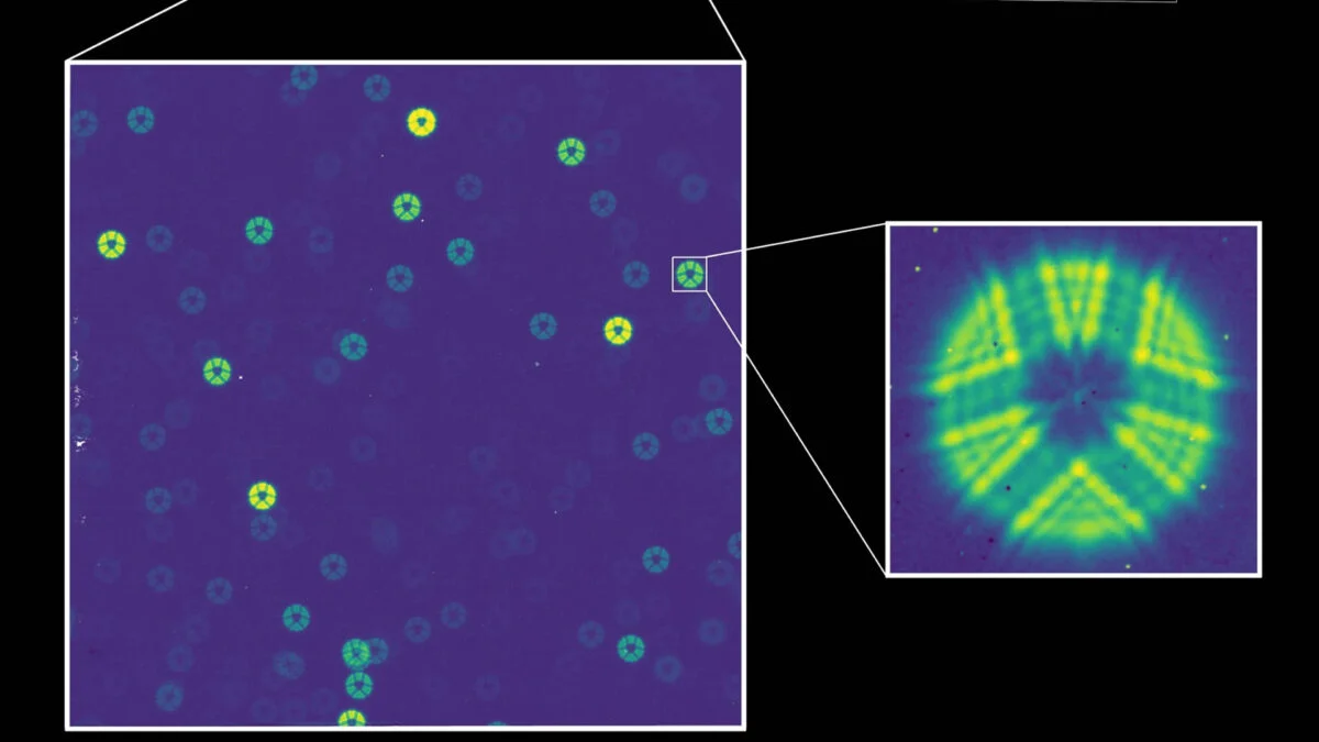 NASA’s New $4 Billion Space Telescope Just Saw Starlight for the First Time. Here’s What It Saw - Gizmodo