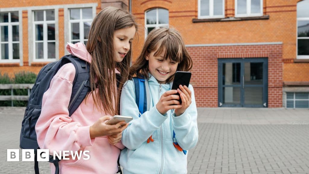 French MPs take first step to ban social media for under-15s - BBC