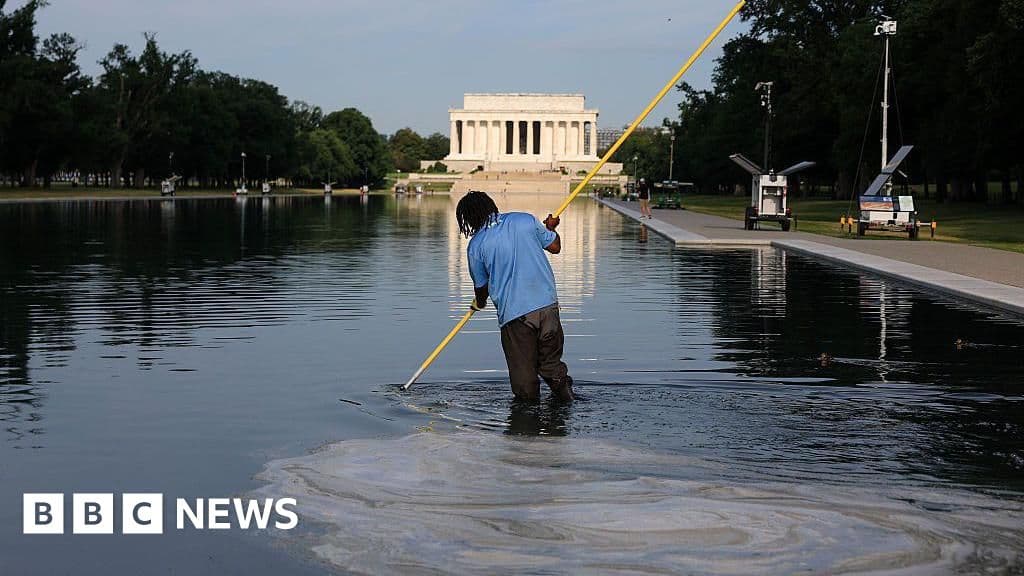 Former Olympian David Hearn indicted for allegedly vandalising reflecting pool - BBC