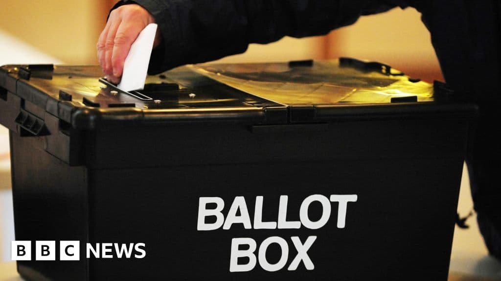 A bin, two foxes and a mystic: the candidates fighting Clacton - BBC