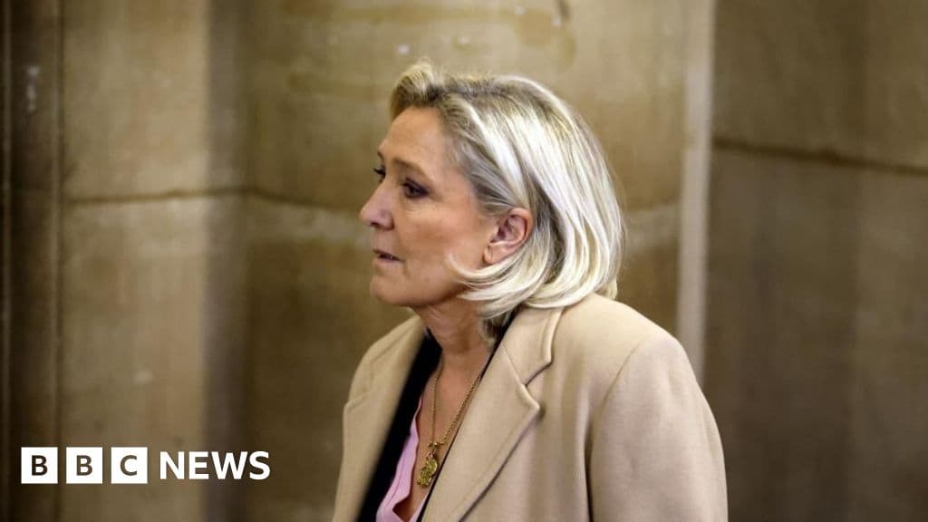 Le Pen blames European Parliament in appeal that could decide political fate - BBC