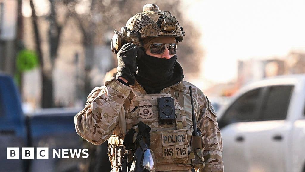 US to send ICE agents to Winter Olympics, prompting Italian anger - BBC