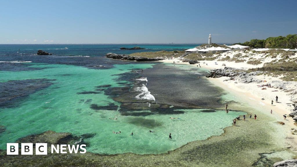 Man killed by 13ft great white shark in Western Australia - BBC