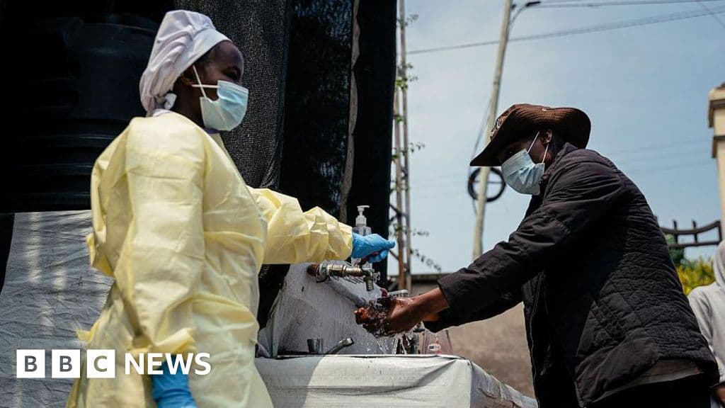 At least 131 dead in Ebola outbreak in DR Congo, official says - BBC