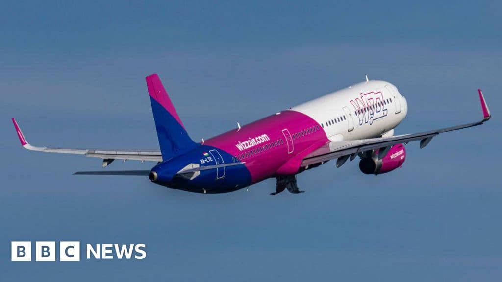 Airbus: Flights resume as normal after software update warning - BBC