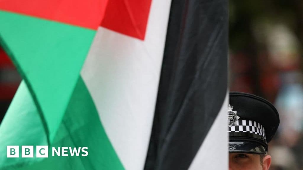 Two Palestine Action protesters end 73-day hunger strike - BBC