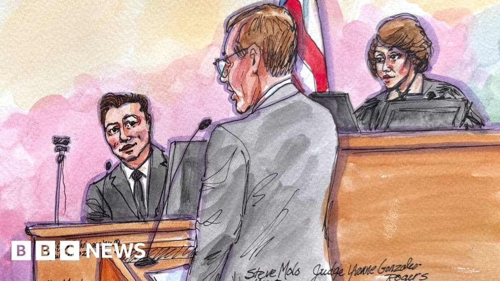 'That's not how it works' - the judge crossing swords with Musk in court - BBC