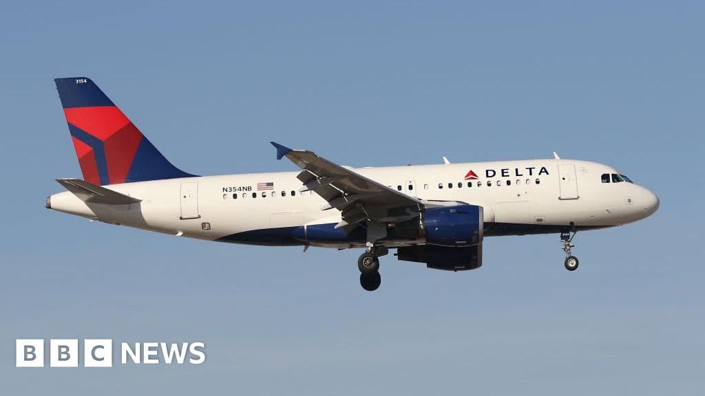 'Definitely felt a big bang': Delta plane hit by firework while landing in Chicago - BBC