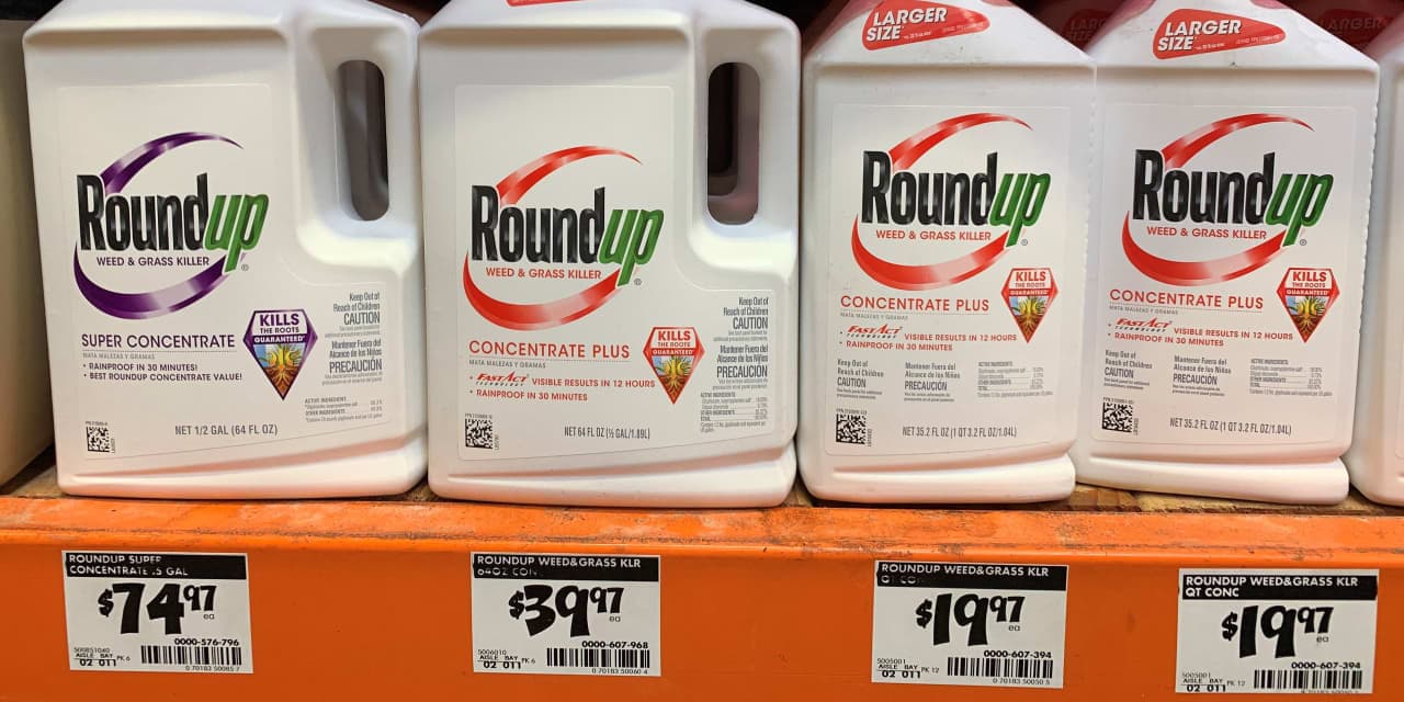 Bayer stock has its best day in 17 years after support from Trump’s solicitor general - MarketWatch