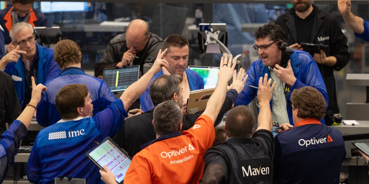 As bullish bets surge, here’s the Goldman Sachs options play to protect portfolios from the likely pullback - MarketWatch