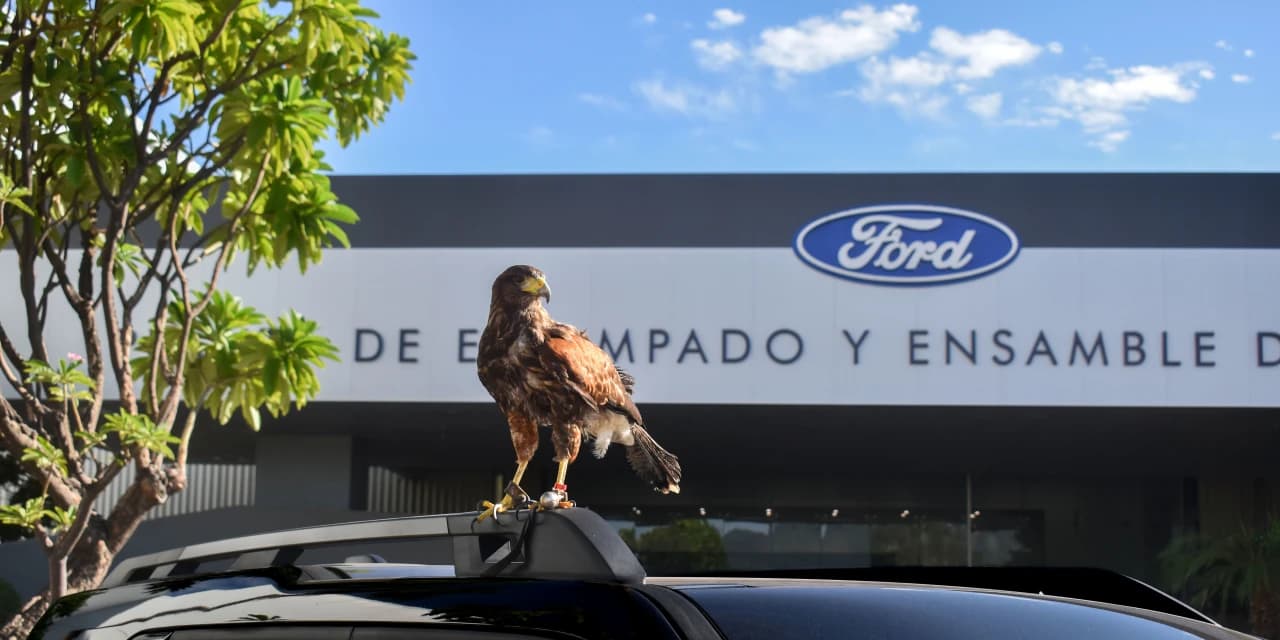 Ford’s Latest Employee of the Month is a Hawk Named ‘El Charro’ - WSJ
