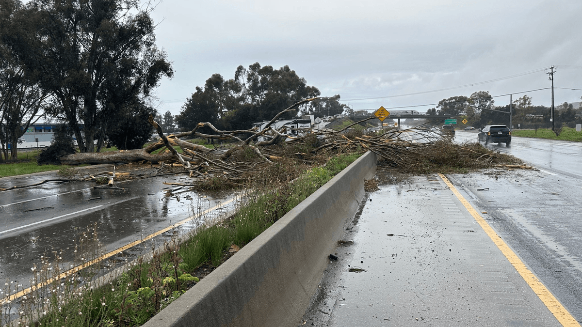 Southbound lanes of Highway 101 at Fairview Avenue reopened after tree fall Monday - News Channel 3-12