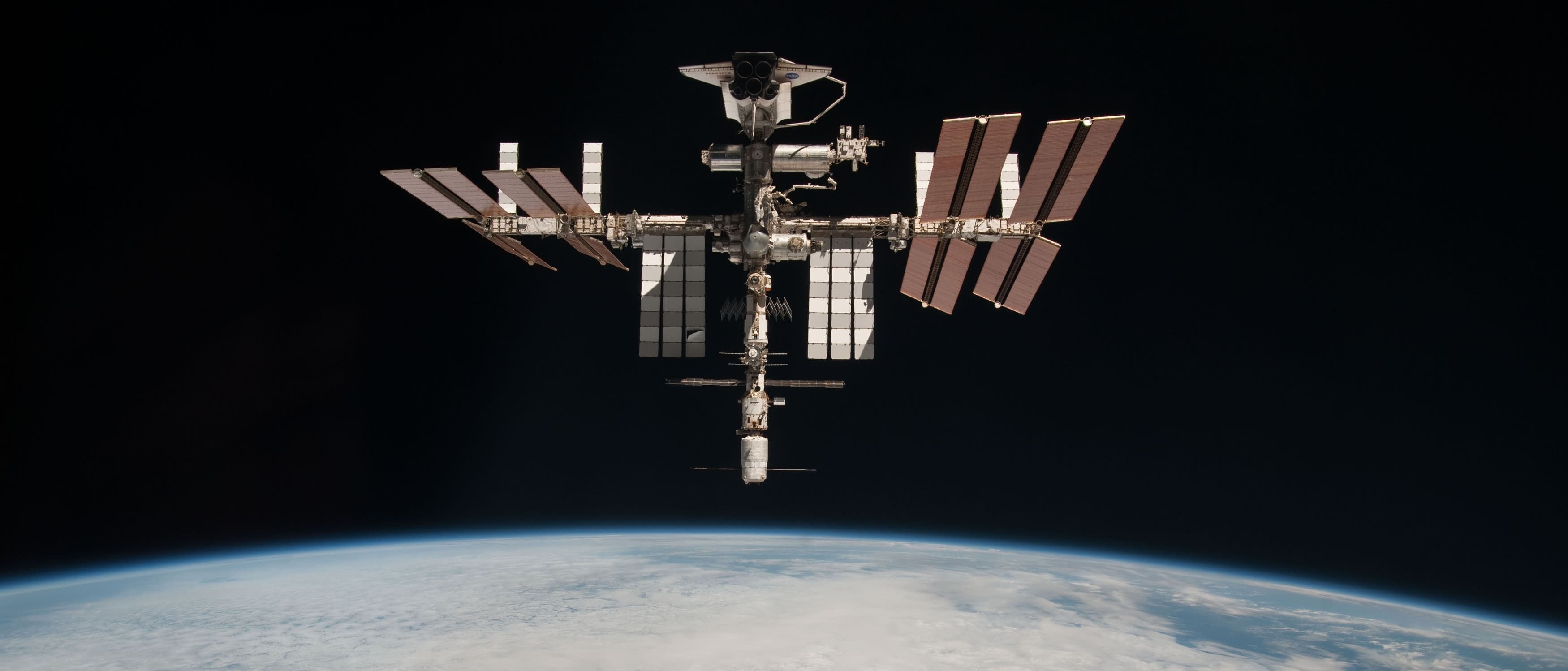 One Small Step For A Moss, One Giant Leap For Mosskind - Defector