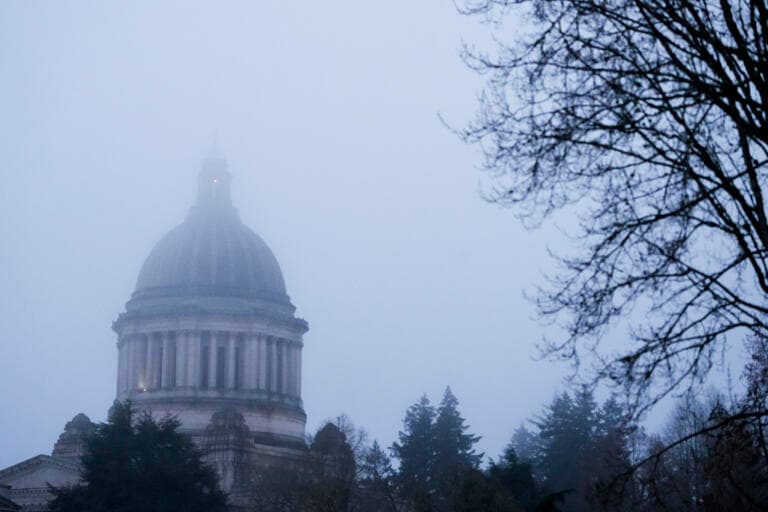 WA Legislature to consider requiring union talks over government use of AI