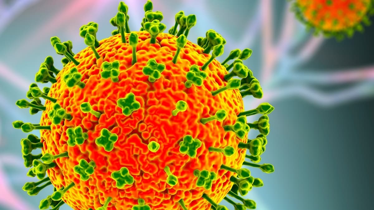 Nipah Virus Outbreak Has Asia on High Alert Amid Deaths in India - ScienceAlert