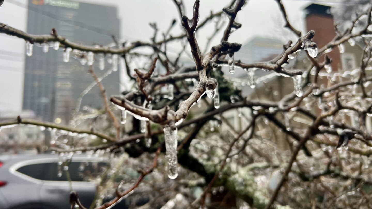 Ice storm arrives in Georgia bringing thousands of power outages in metro Atlanta - wabe.org