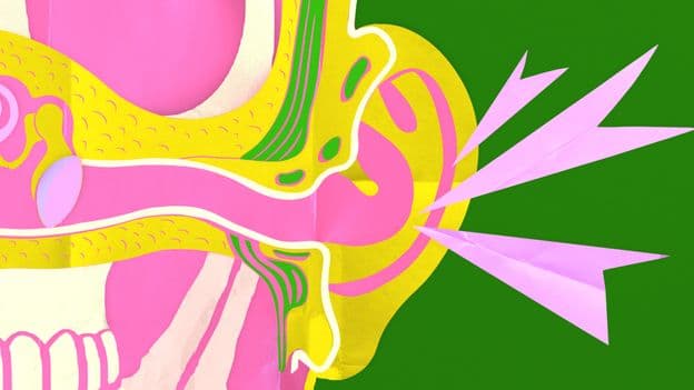 'Once it's gone, it's gone': How to future-proof your hearing - BBC